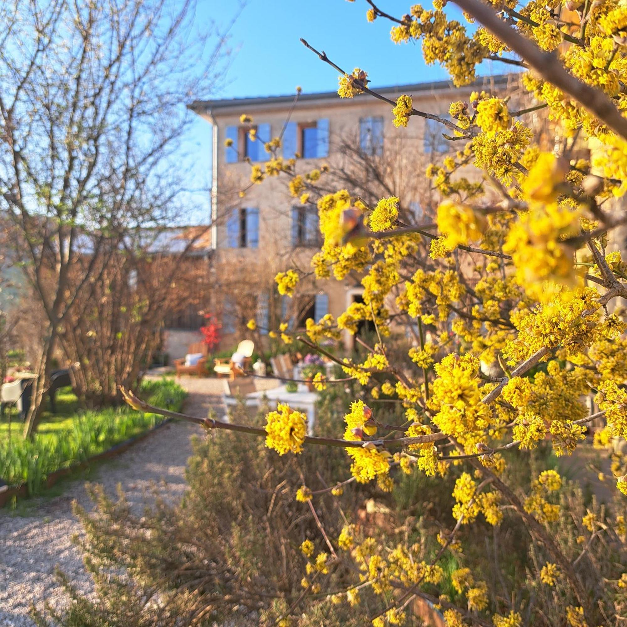 Casadesergio Refrontolo Eksteriør bilde
